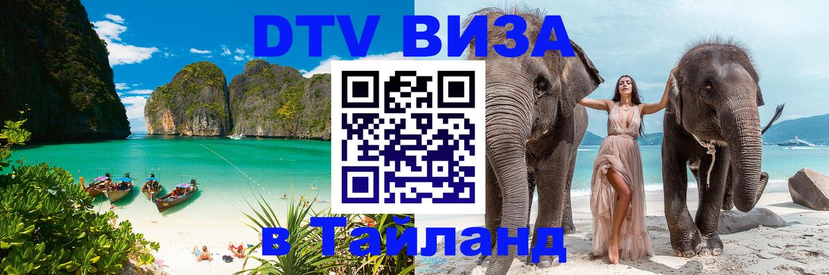 Сколько стоит DTV виза — актуальные цены, оформление даже без документов - 18.11.2025 